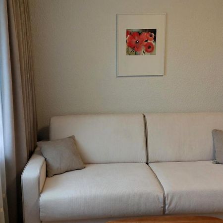 Lucerne Apartment Mount Pilatus エクステリア 写真